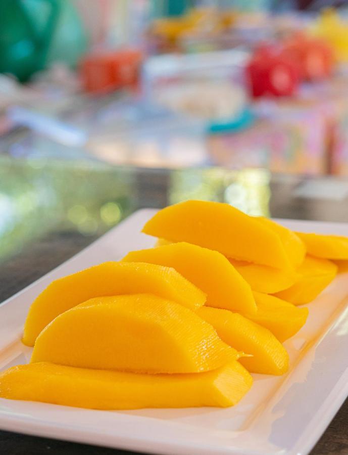 Pousada Rosa Tropicalia プライア・ド・ローザ エクステリア 写真