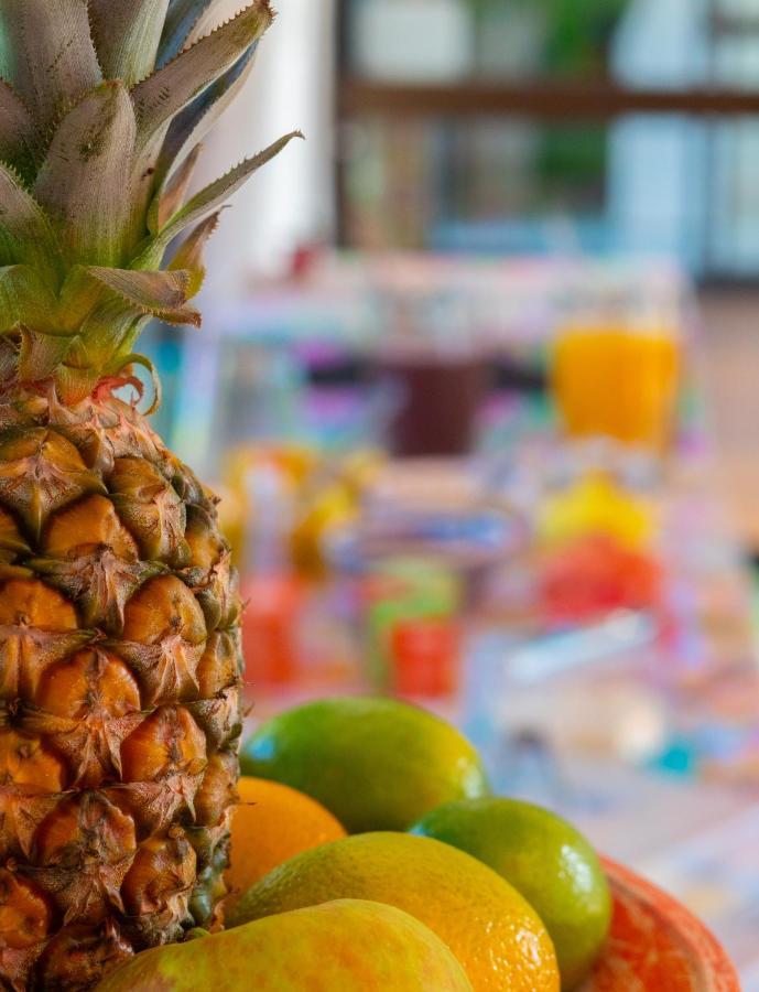 Pousada Rosa Tropicalia プライア・ド・ローザ エクステリア 写真